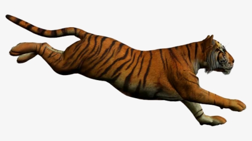 Tiger Png Free Download - Animated Tiger White Background, Transparent Png, Free Download