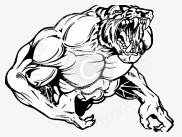 Tiger Clipart Muscle - Auburn Tigers Tiger Muscle Sketch, HD Png Download, Free Download