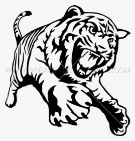 Tiger Full Body Drawing Clipart Cat Drawing Clip Art - Tiger Black And White Clipart, HD Png Download, Free Download