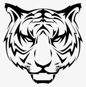Tiger Drawing Png - Transparent Tiger Vector Png, Png Download, Free Download