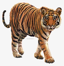 Tiger,animal Figure,terrestrial Tiger,carnivore,big - Royal Bengal Tiger Png, Transparent Png, Free Download