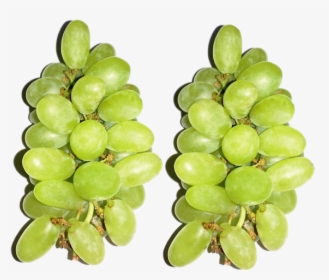 Seedless Fruit, HD Png Download, Free Download