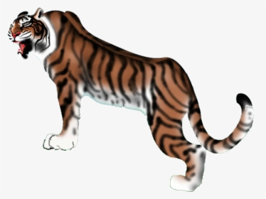Tiger Download Icon - Tiger Png Icon, Transparent Png, Free Download