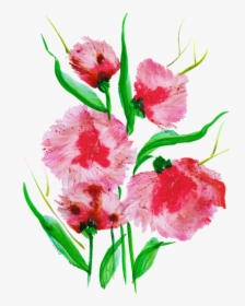 Sweet William, HD Png Download, Free Download