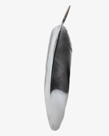 Black And White Feather Png Transparent - Mockingbird Feather Black And White, Png Download, Free Download