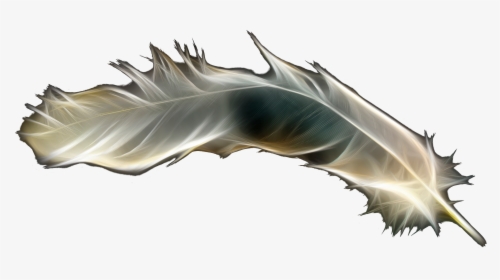 Transparent Gold Feather Png - Feather, Png Download, Free Download