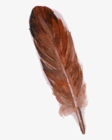 Feather Owl Brown Watercolor Painting - Brown Feather Png, Transparent Png, Free Download