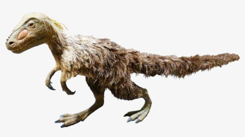 Feathered Dinosaur Clipart - Dinisaur Clipart, HD Png Download, Free Download
