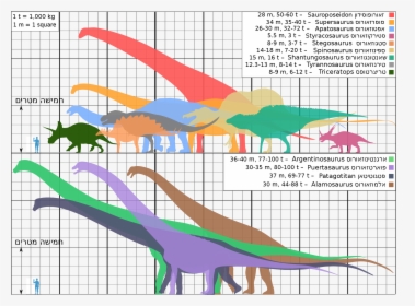 Biggest Dinosaurs Ver18 He - Patagotitan Size Comparison, HD Png Download, Free Download