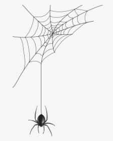 Web Spider Hq Image Free Png Clipart - Transparent Background Spider Web Png, Png Download, Free Download