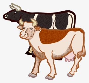 Jersey Cattle British White Cattle Highland Cattle - Two Cows Clipart, HD Png Download, Free Download