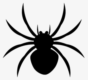 Spider Download Clip Art - Spider Clipart Black, HD Png Download, Free Download