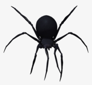 Roblox Spider Mage 18 07 19 Cartoon Hd Png Download Kindpng - yeah so can we praise this roblox spider roblox spider hd png download kindpng