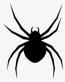 Spider - Halloween Picture Of Spider, HD Png Download, Free Download