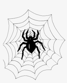 Transparent Spider - Spider Web, HD Png Download, Free Download