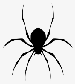 Spider - Spider Icon Free Download, HD Png Download, Free Download