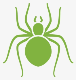 Spider / Clover Mites - Green Spider Clipart, HD Png Download, Free Download