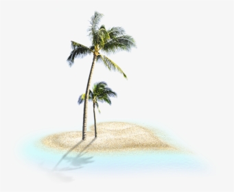 Coconut Trees - Coconut Trees Png, Transparent Png, Free Download