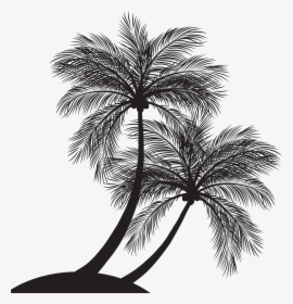 Palm Trees Clip Art Silhouette Image Vector Graphics, HD Png Download, Free Download
