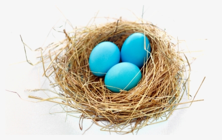 Easter-egg - Birds Nest Transparent Png, Png Download, Free Download