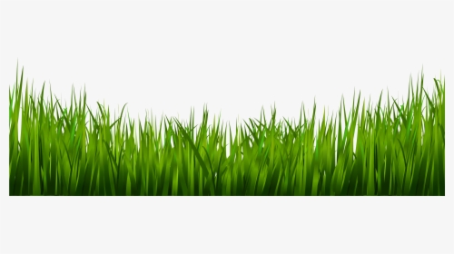 Plants Clipart Landscaping - Grass And Plants Png, Transparent Png, Free Download