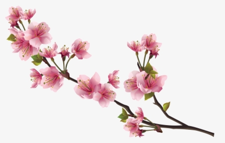 Pink Real Flowers Png, Transparent Png, Free Download