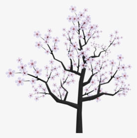 Cherry Blossom Tree Png Black And White - Cherry Blossom Cartoon Drawing, Transparent Png, Free Download