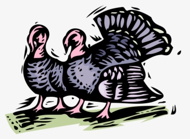 Vector Illustration Of Wild Turkey Christmas Or Thanksgiving - Turkeys By Bailey White Resumen, HD Png Download, Free Download
