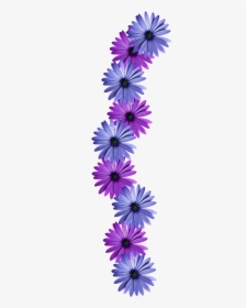 Flower Vine Png - Learning Thought Of The Day, Transparent Png, Free Download