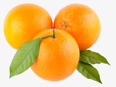Orange Png Image, Free Download - Oranges Clipart, Transparent Png, Free Download