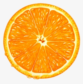 Orange Slice Png Clipart - Orange Slice Vector Png, Transparent Png, Free Download