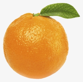 Orange Png Image - Transparent Background Orange Png, Png Download, Free Download