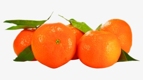 Orange Png - - Clementine Png, Transparent Png, Free Download