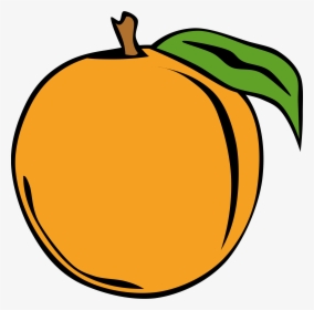 Fruit Orange Svg Clip Arts - Peach Clip Art, HD Png Download, Free Download
