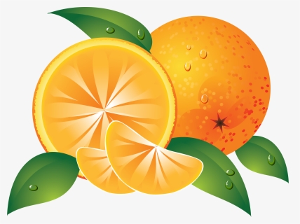 Oranges Png Image, Transparent Png, Free Download