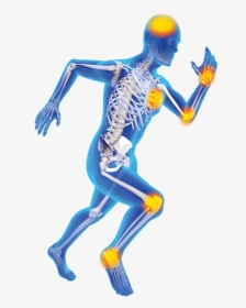 Joint Pain Skeleton - Orthopedic Images Png, Transparent Png, Free Download