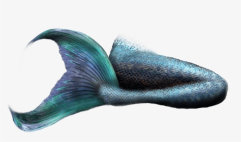 Mermaid Tail No Background, HD Png Download, Free Download