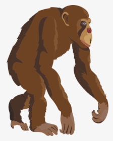 Zoo Monkey Png - Simpanse Png, Transparent Png, Free Download