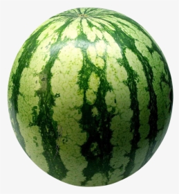Big Green Watermelon Png Image - Watermelon Png, Transparent Png, Free Download