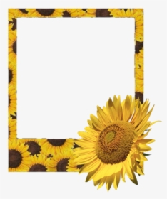 #polaroid #frame #flower #sunflower #sunflowers - Yellow Polaroid Frame Png, Transparent Png, Free Download