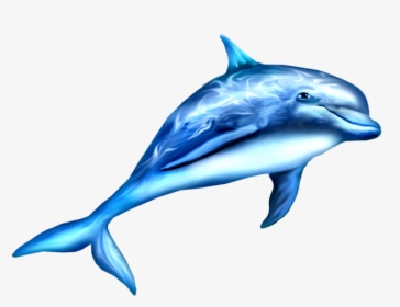 Dauphin Png, Transparent Png, Free Download