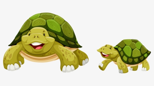 Sea Turtle Clip Art - Parts Of A Turtle Clipart, HD Png Download, Free Download