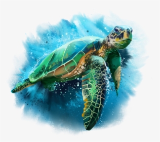 Transparent Sea Png - Sea Turtle Watercolor, Png Download, Free Download