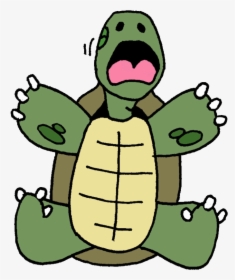 Tortoise Clipart Tortoise Turtle Clip Art - Turtle Clip Art, HD Png Download, Free Download