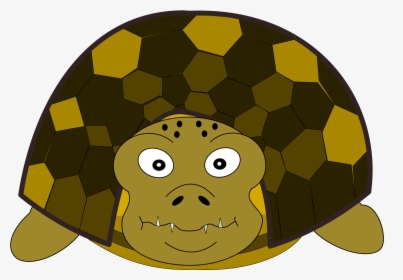 Turtle Front Clip Arts - Front Side Tortoise Clipart, HD Png Download, Free Download
