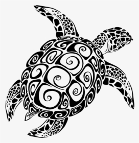 Sea Turtle Vector Graphics The Turtle Image - Sea Turtle Svg File, HD Png Download, Free Download