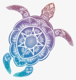 Transparent Background Turtle Clipart, HD Png Download, Free Download