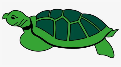 Tortoise Cartoon Image In Png, Transparent Png, Free Download