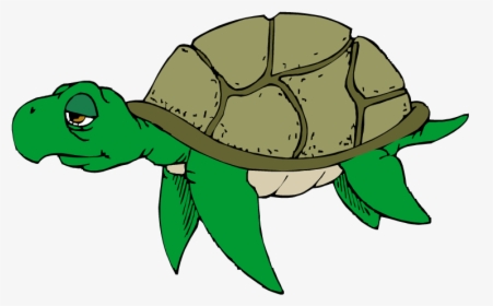 Old Turtle Png - Sad Sea Turtle Clipart, Transparent Png, Free Download