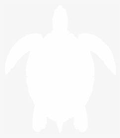 Black And White Sea Turtle Png - White Sea Turtle Clipart, Transparent Png, Free Download